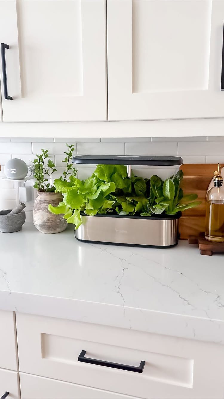 Indoor hydroponic garden kit growing green lettuce on a white marble kitchen counter.