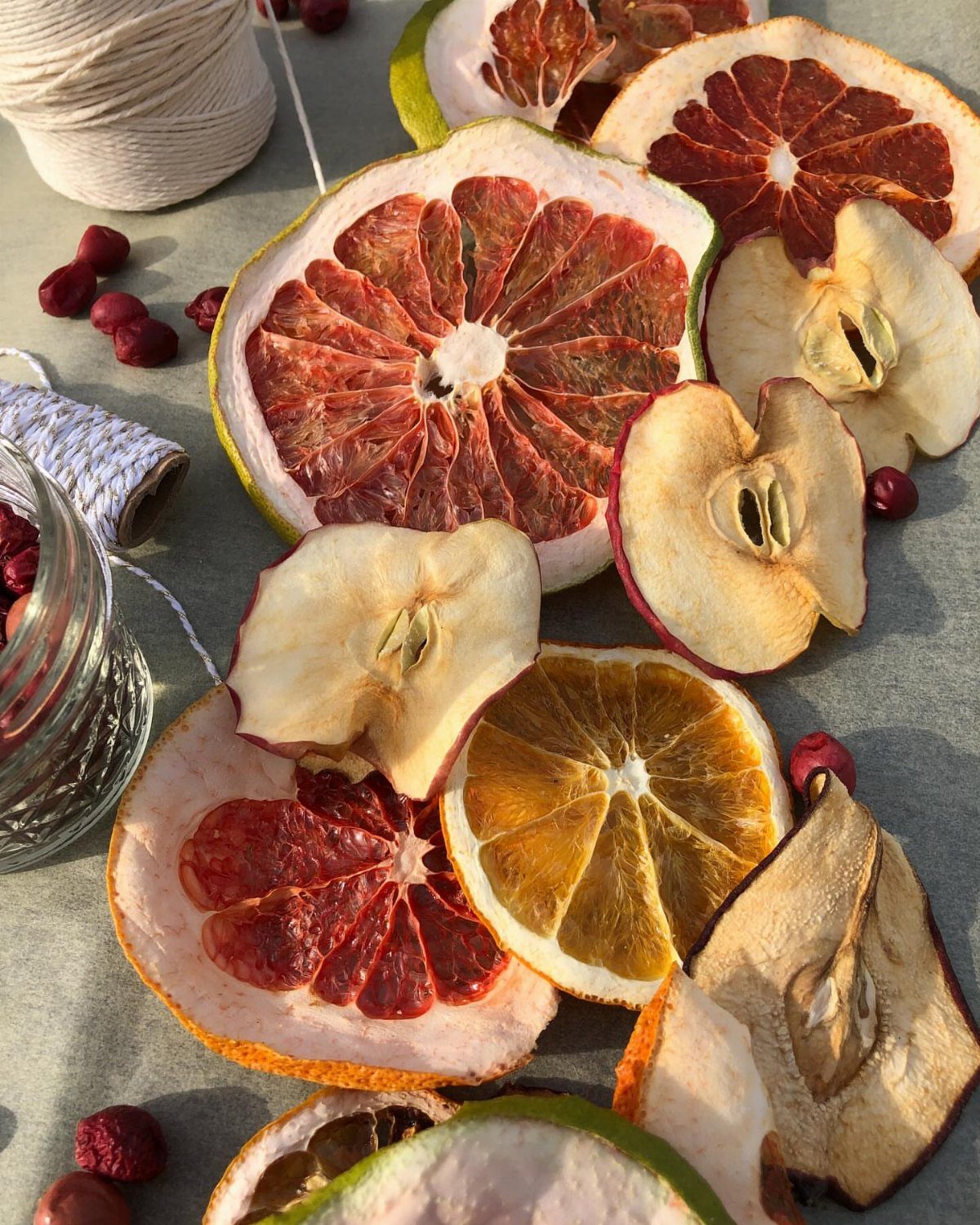 Dried orange, grapefruit, and apple slices scattered with red berries and white twine.