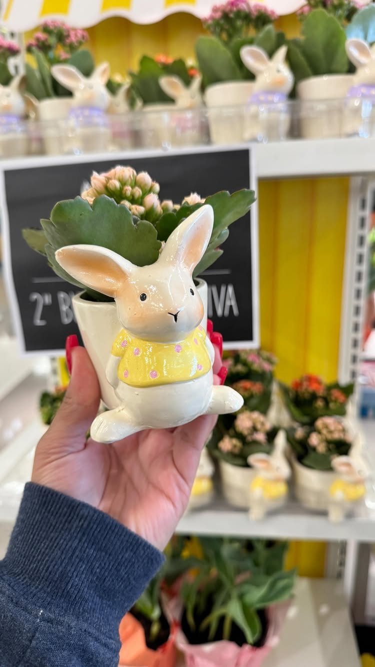 Small white ceramic bunny planter with a succulent held in a hand.