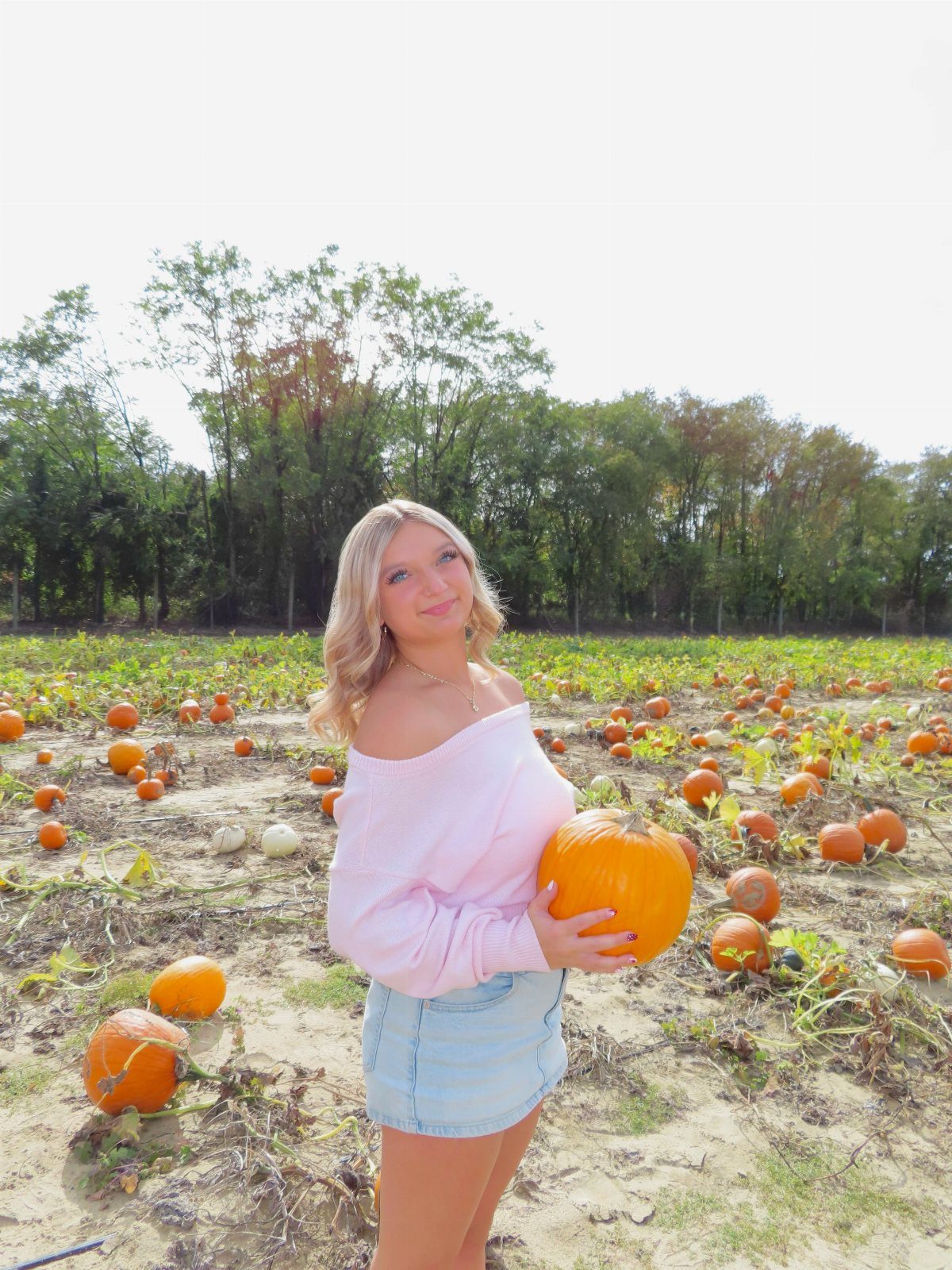 Blonde woman in pink sweater and denim skirt holding a pumpkin in a field