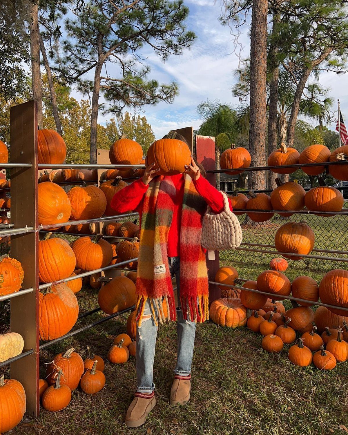 Person in red sweater and plaid scarf holding pumpkin in a patch